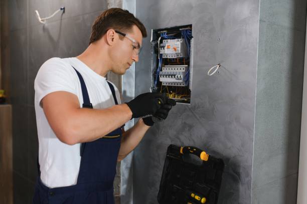 Best Electric Panel Repair  in Cortland, OH